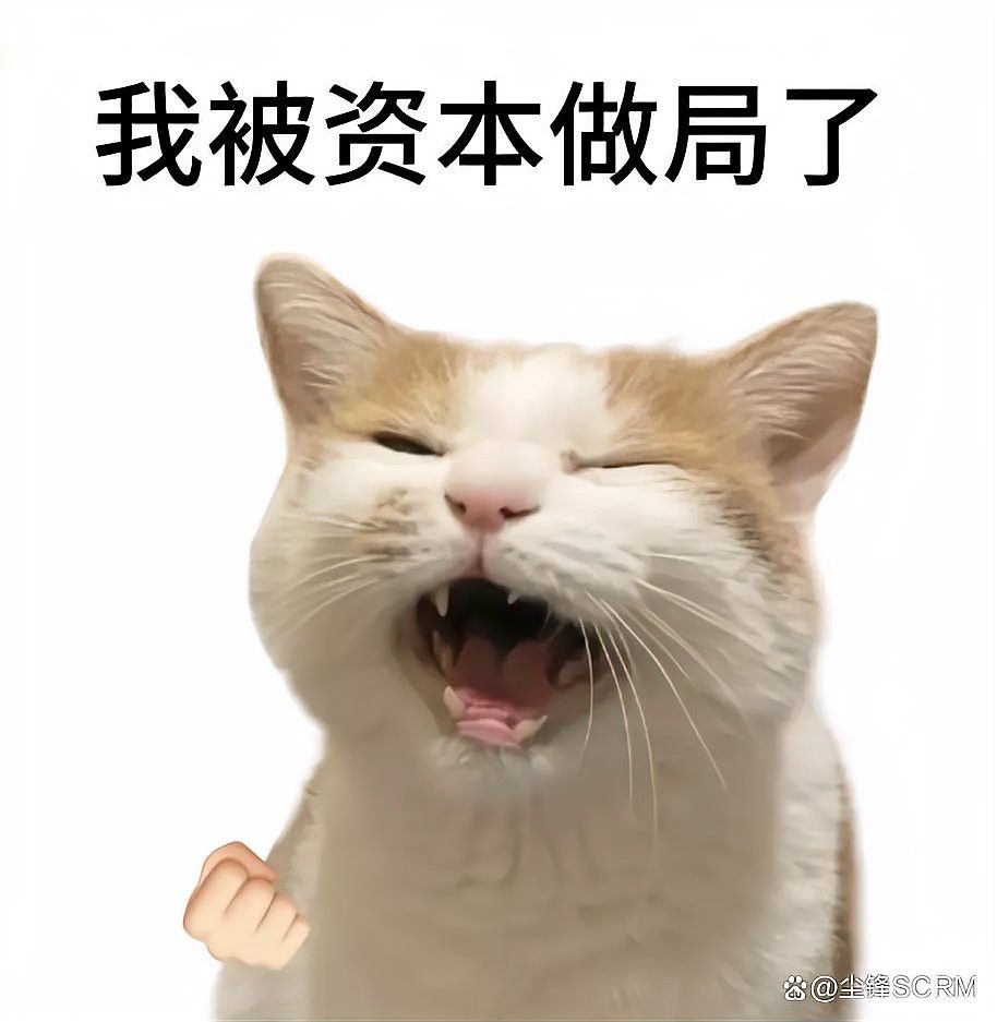 還有哪些網絡流行語與金龍魚相關？