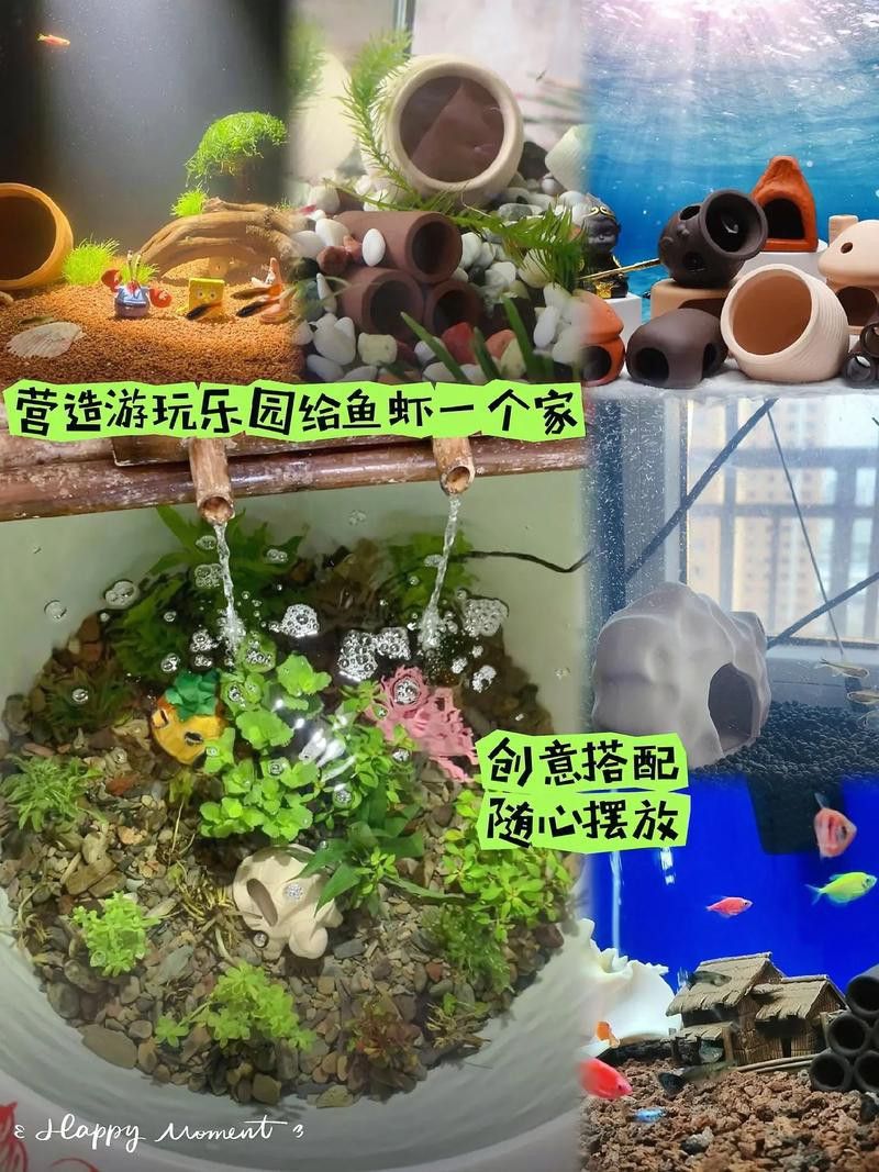 養曼龍魚怎么造景的圖片