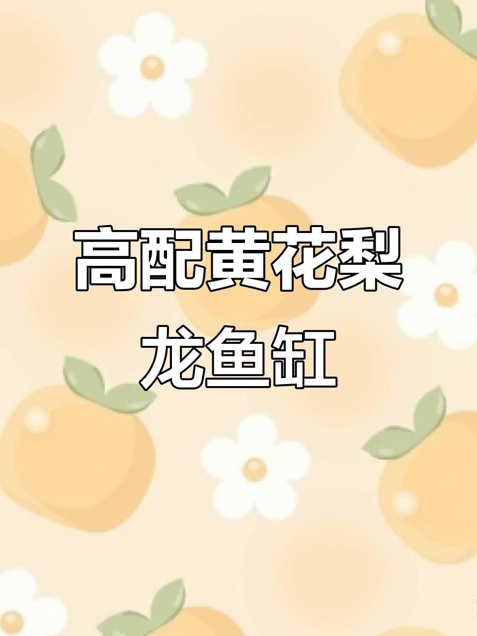 博特KS系列龍魚缸的價格是多少