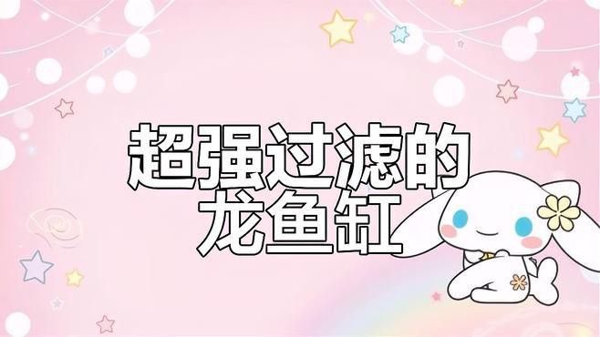 博特KS系列龍魚缸的價格是多少