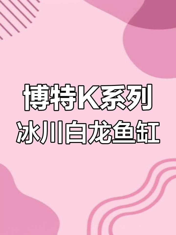 博特KS系列龍魚缸的價格是多少