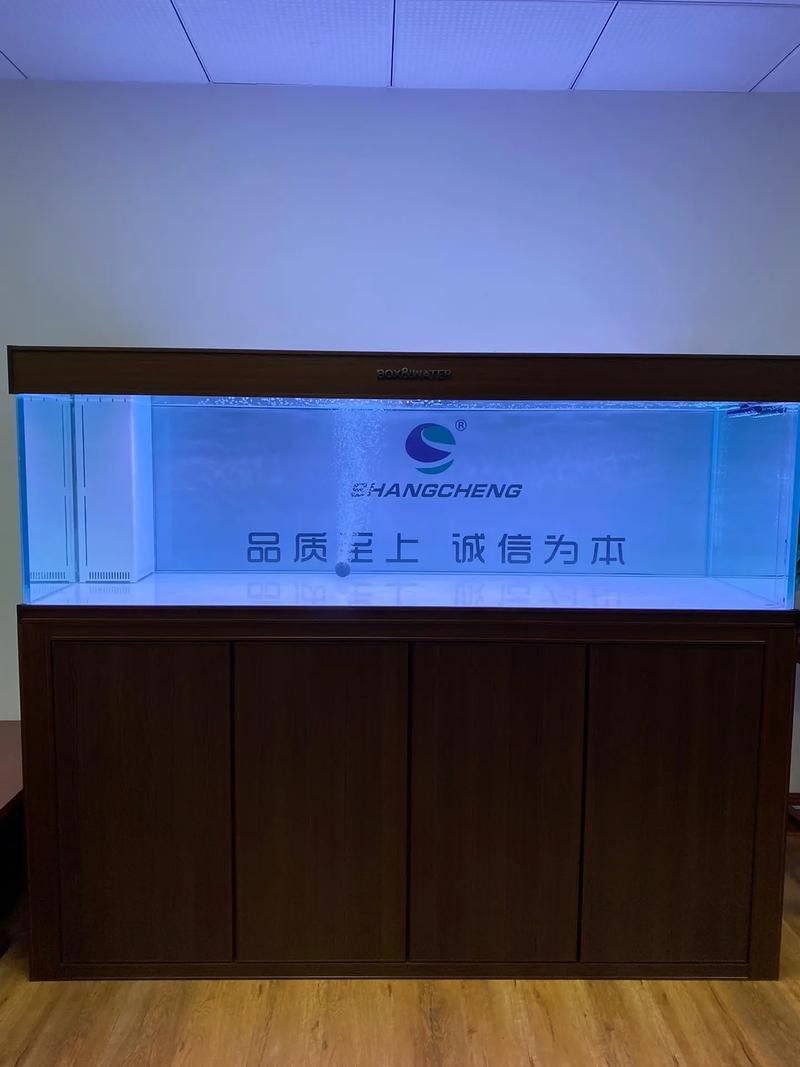 博特KS系列龍魚缸的價格是多少