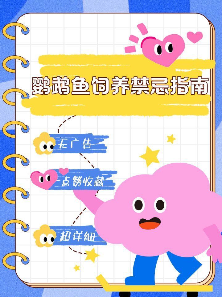 金剛鸚鵡魚最忌諱三個東西