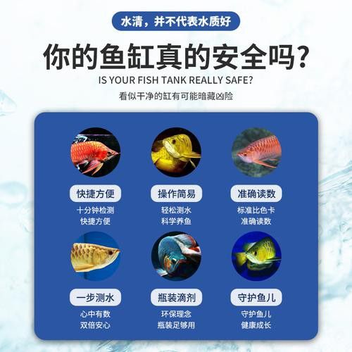金龍魚翹尾怎么回事啊圖片