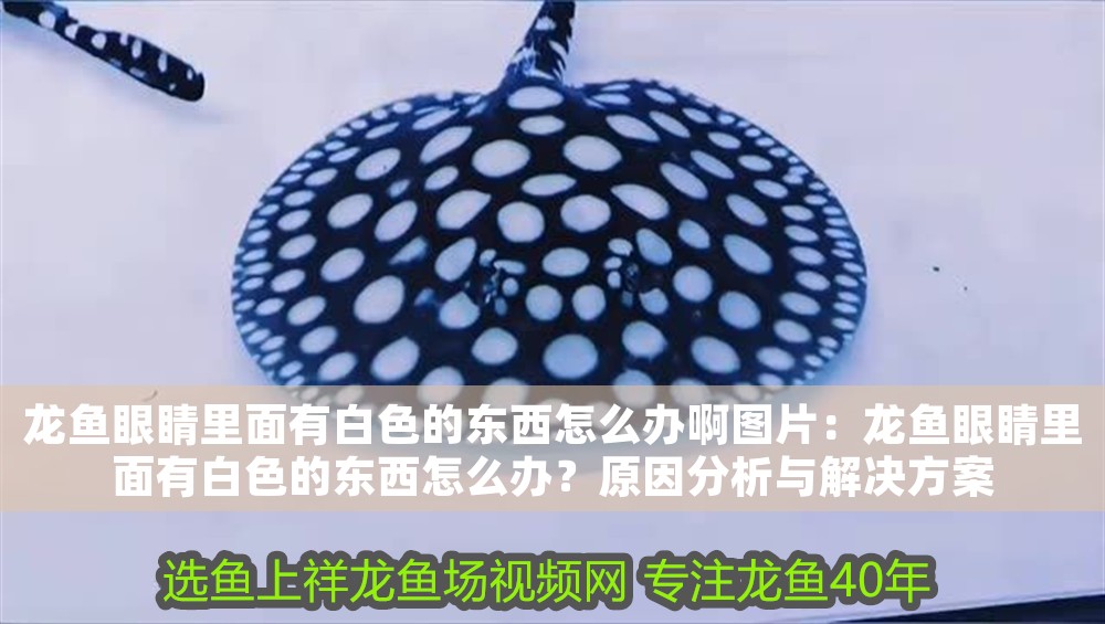 龍魚眼睛里面有白色的東西怎么辦啊圖片：龍魚眼睛里面有白色的東西怎么辦？原因分析與解決方案