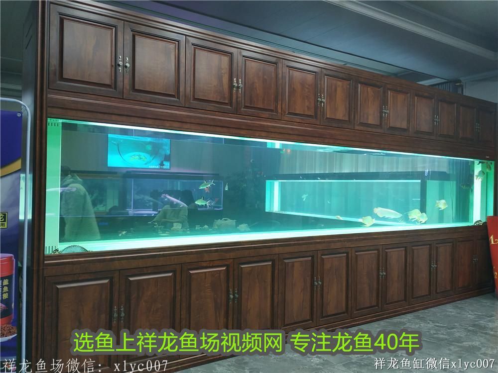 龍魚眼睛里面有白色的東西怎么辦啊圖片：龍魚眼睛里面有白色的東西怎么辦？原因分析與解決方案