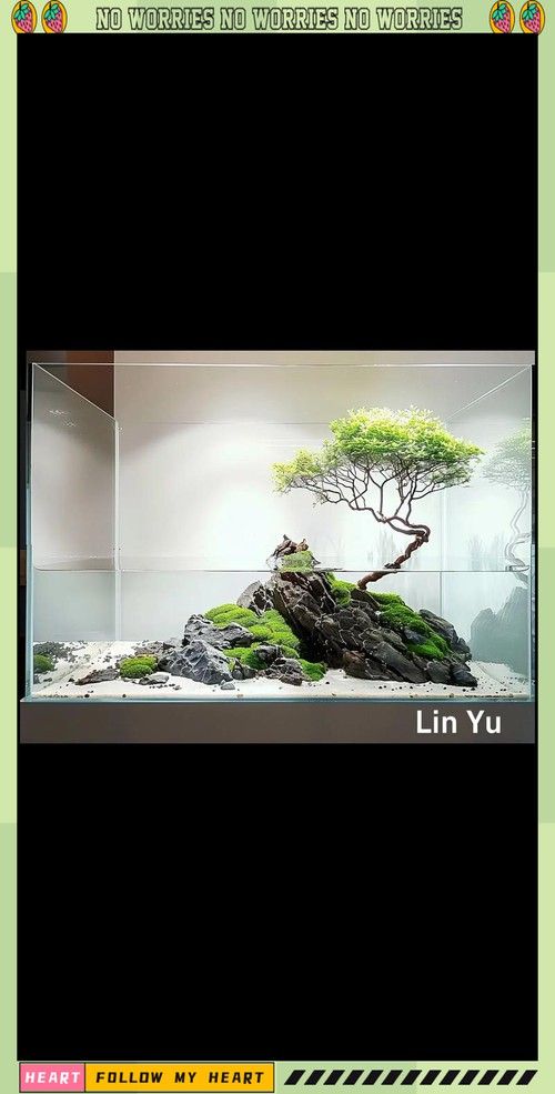 曼龍魚缸造景效果圖