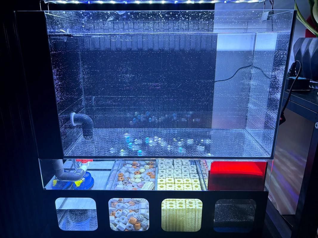 曼龍魚缸造景效果圖