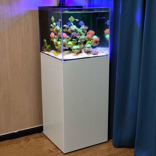 曼龍魚缸造景效果圖