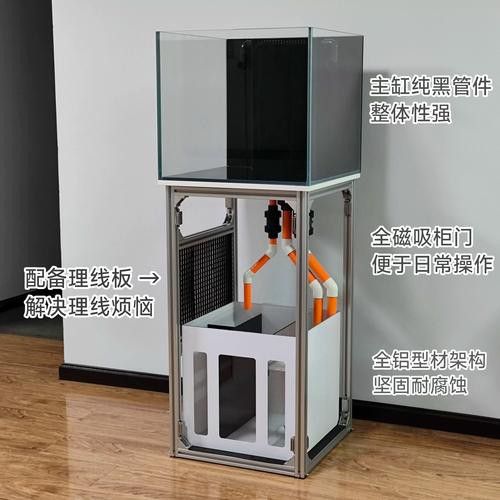 曼龍魚缸造景效果圖