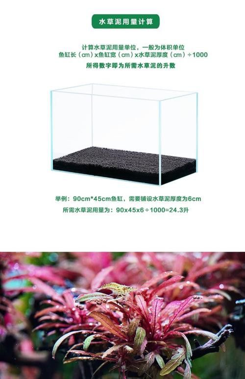 曼龍魚缸造景效果圖