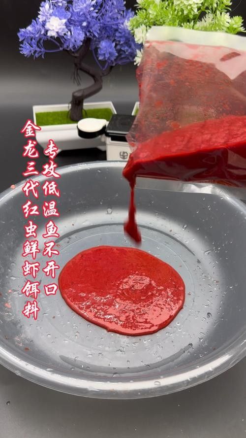 金龍魚餌的餌料搭配
