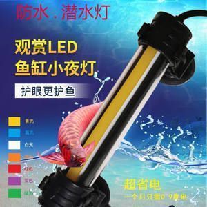龍魚缸小夜燈怎么擺放：龍魚缸小夜燈功率選擇