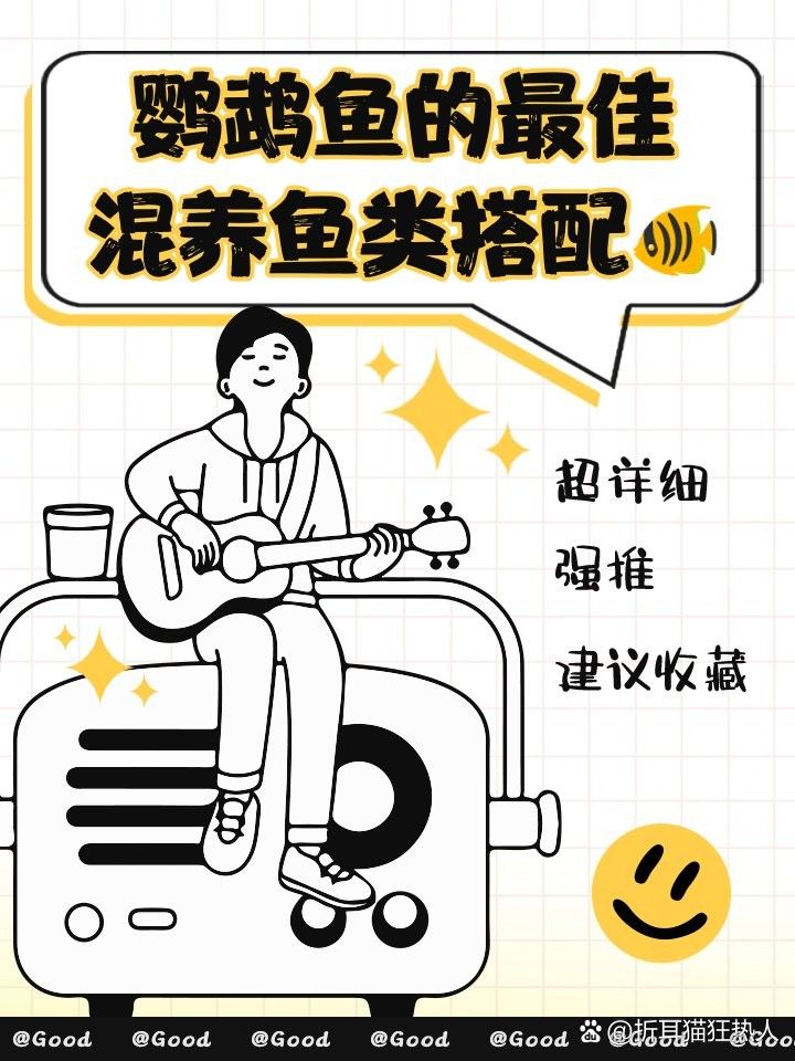 銀龍魚能吃鸚鵡魚飼料嗎視頻
