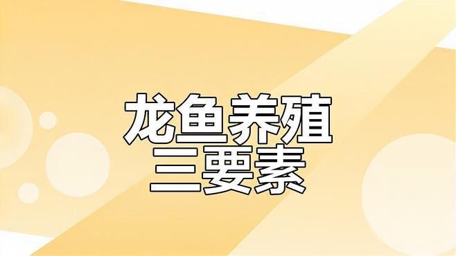 龍魚生長需要哪些基本條件？