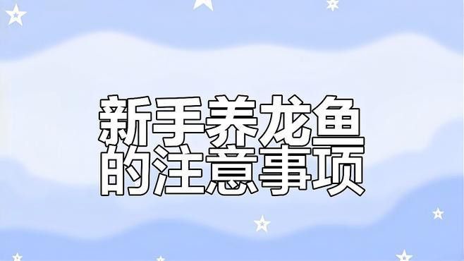 龍魚生長需要哪些基本條件？