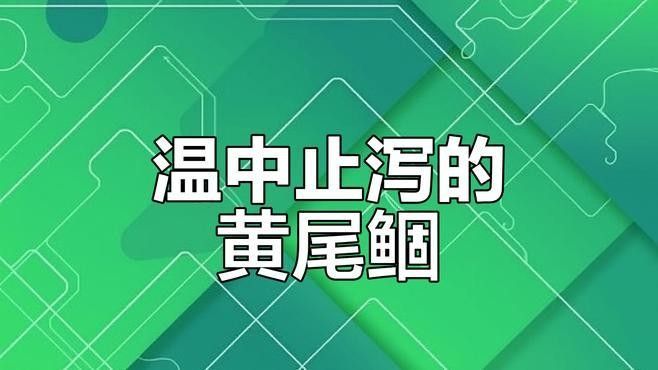 黃尾龍魚價格行情