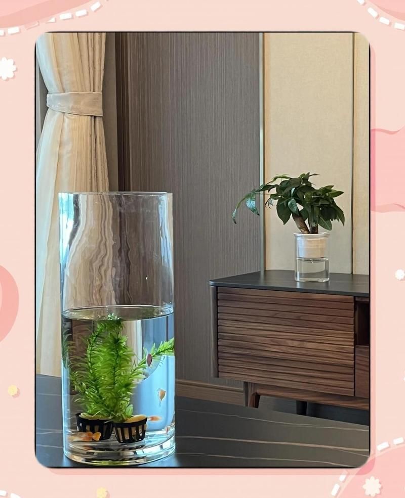 風水魚多久喂一次食物？