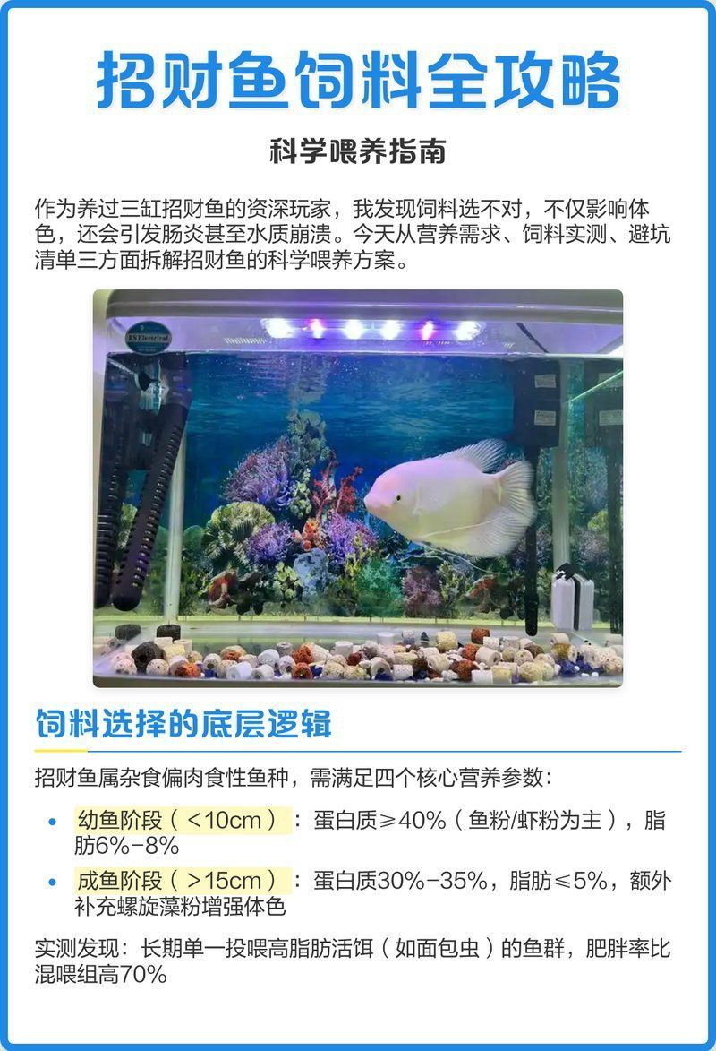 風水魚多久喂一次食物？