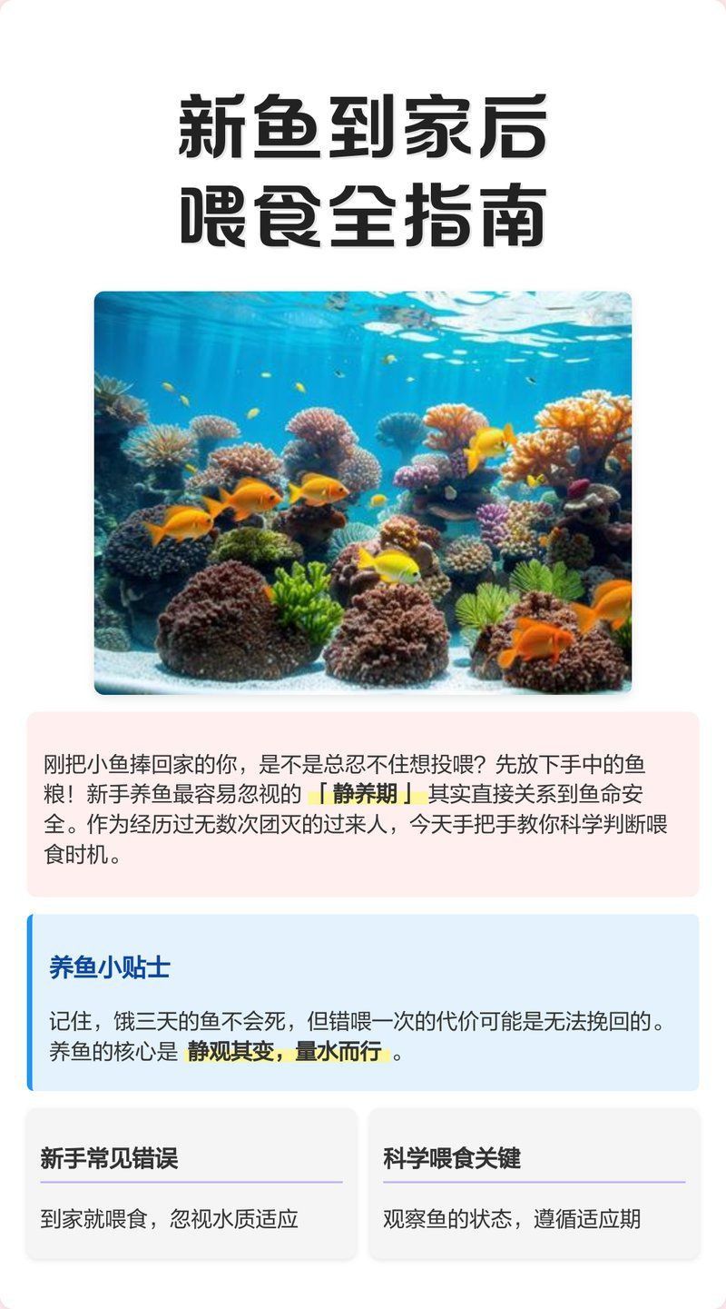 風水魚多久喂一次食物？
