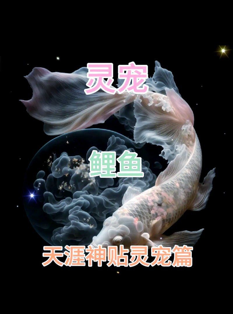 鯉魚在玄學(xué)中的寓意