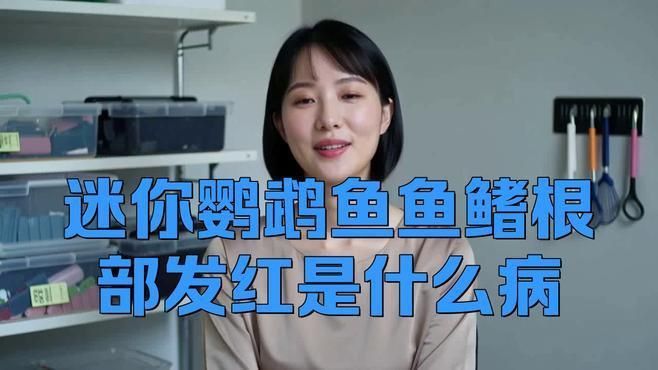 如何判斷魚鰭根部充血的嚴重程度？