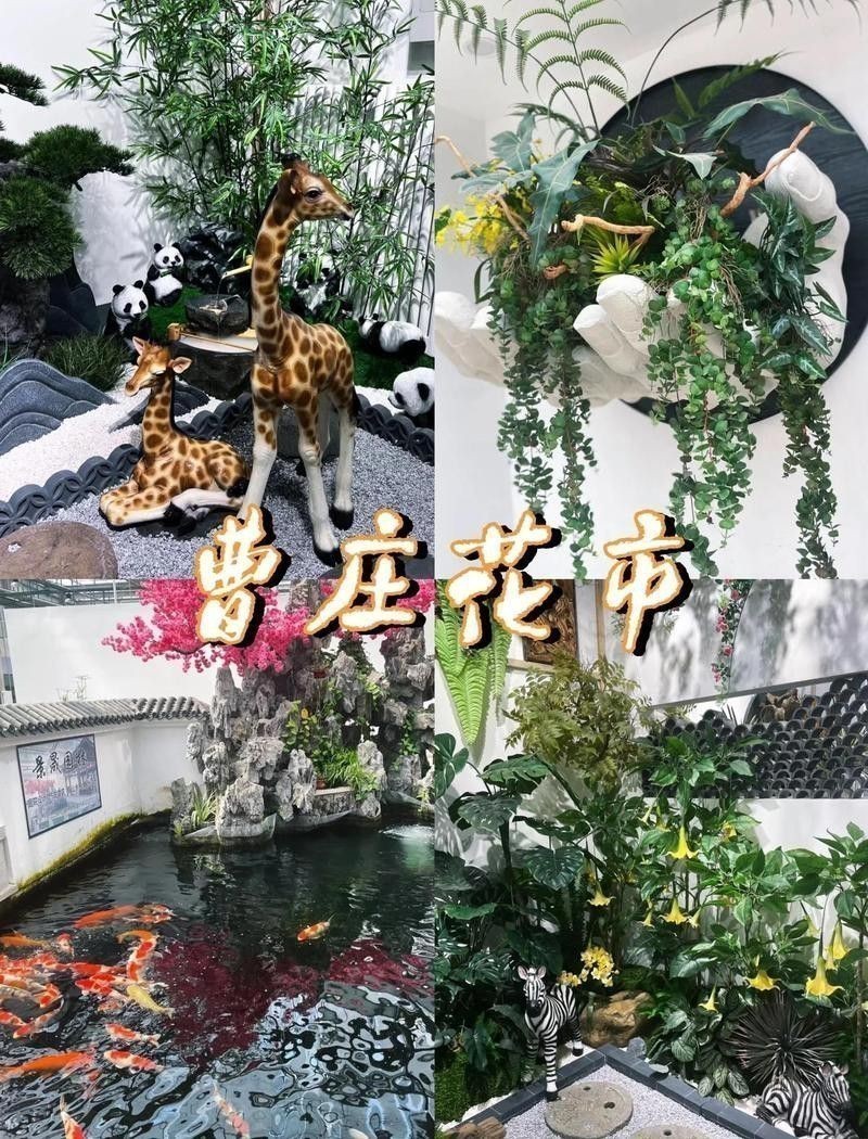 天津紅龍魚批發(fā)地址在哪里啊