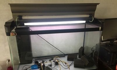 龍魚缸側燈：龍魚缸側燈品牌推薦龍魚缸側燈安裝教程龍魚缸側燈安裝教程