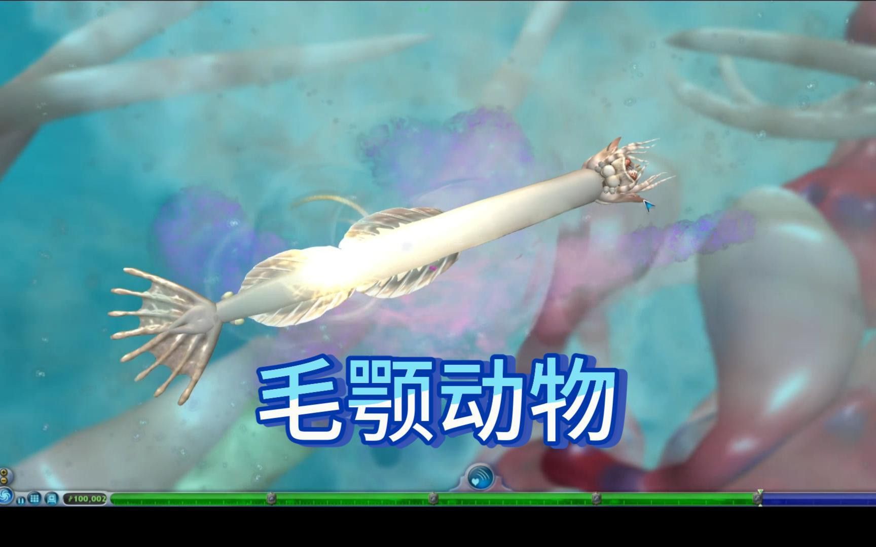 治療龍魚內外寄需要多長時間？