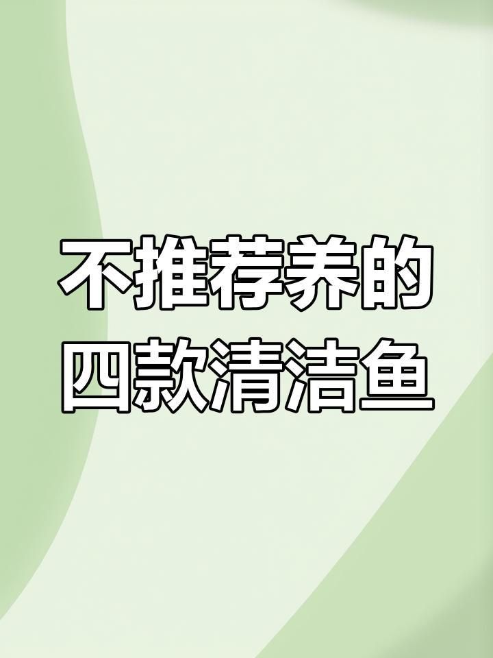 龍魚缸最忌三種清潔魚