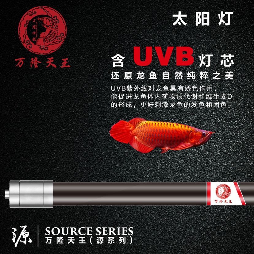 太陽燈 龍魚百科 第1張 太陽燈 太陽燈 龍魚百科 第1張