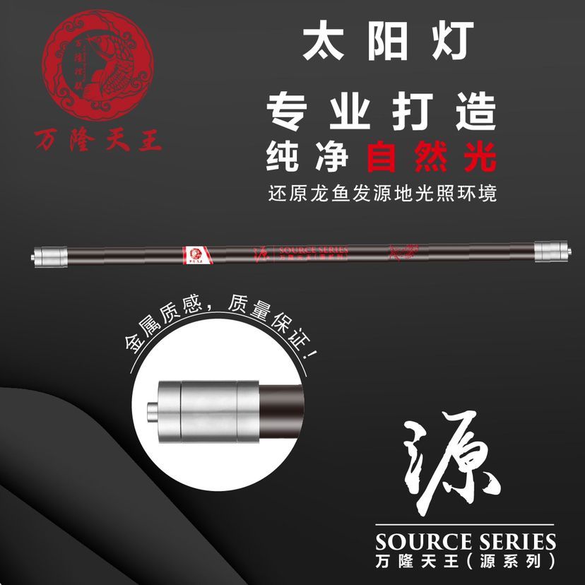 太陽燈 龍魚百科 第5張 太陽燈 太陽燈 龍魚百科 第5張