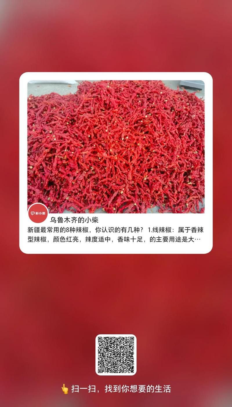 新疆還有哪些辣椒品種？