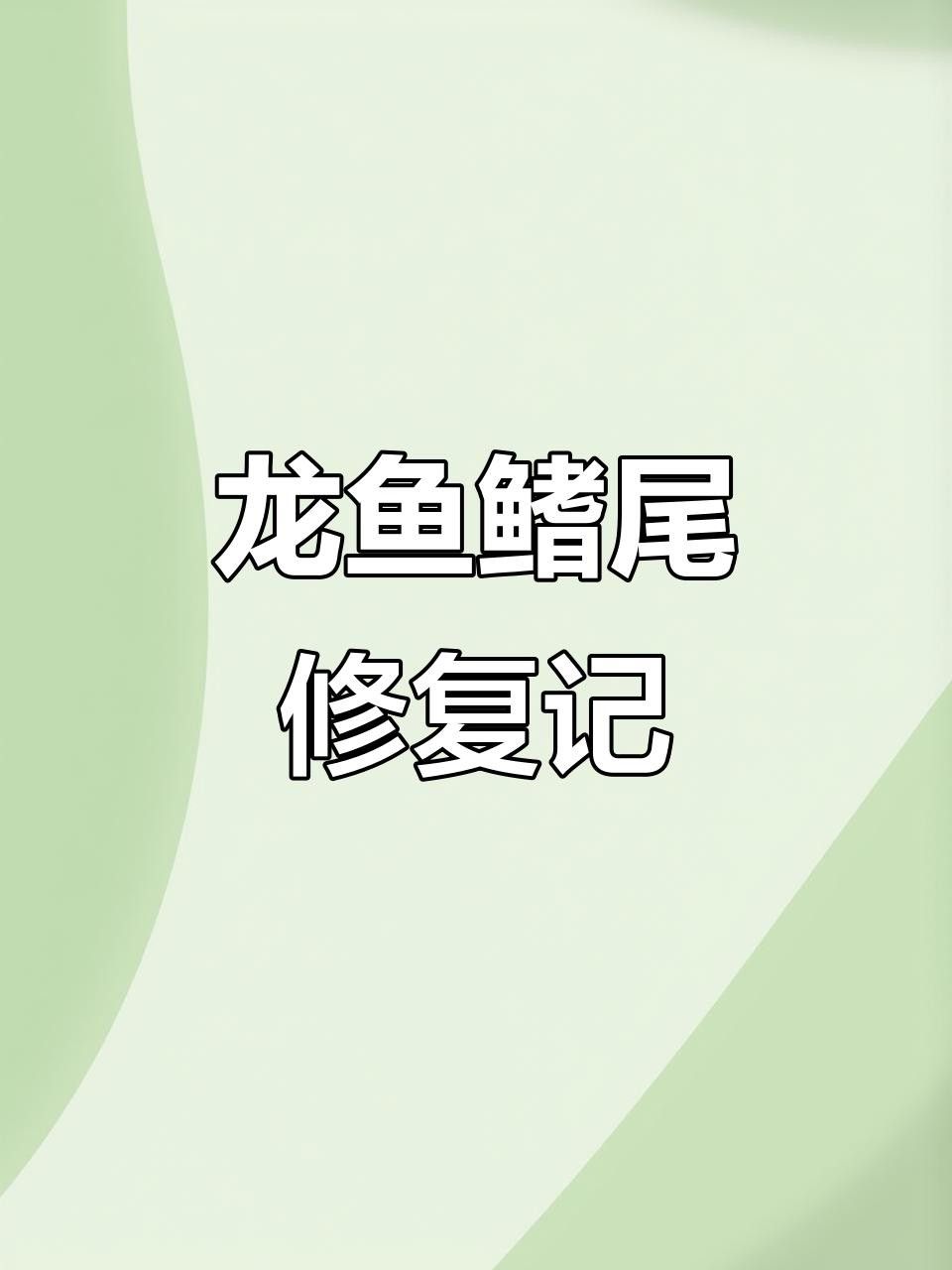 龍魚(yú)充血和刮傷后如何急救處理？