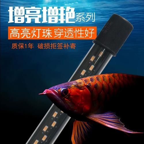 龍魚燈什么牌子最好