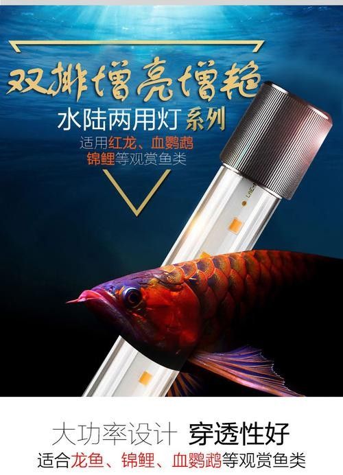 龍魚燈什么牌子最好