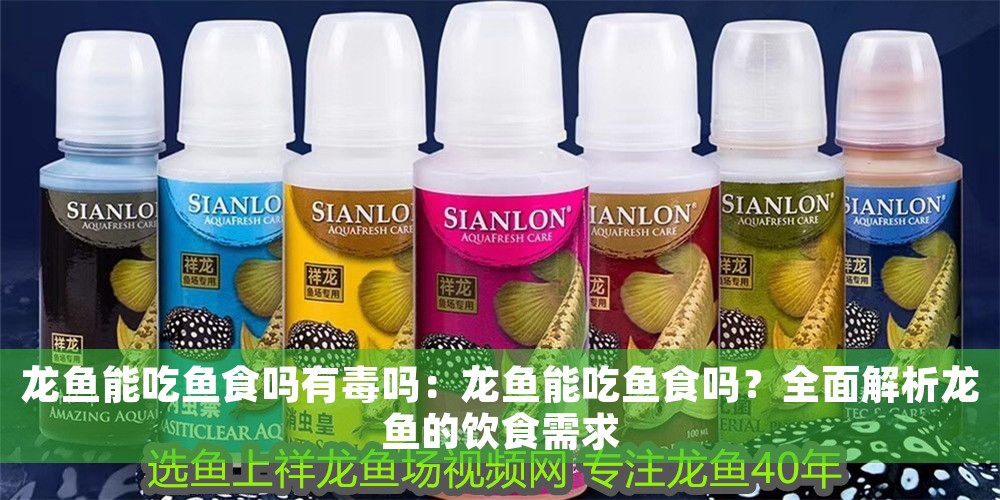龍魚能吃魚食嗎有毒嗎：龍魚能吃魚食嗎？全面解析龍魚的飲食需求 龍魚能吃魚食嗎有毒嗎：龍魚能吃魚食嗎？全面解析龍魚的飲食需求 龍魚百科 第1張