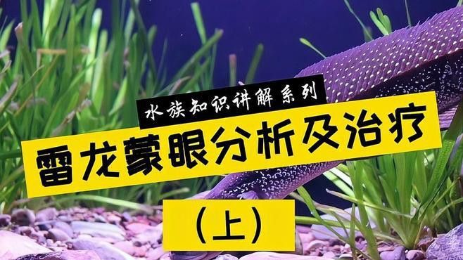 如何判斷雷龍魚是否得了蒙眼病？