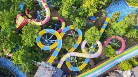 重慶龍魚市場營業(yè)時間電話查詢 重慶龍魚市場營業(yè)時間電話查詢 龍魚百科 第2張