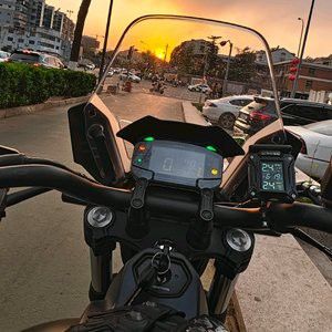 80的魚缸養龍魚視頻