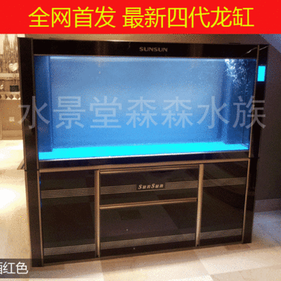 龍魚需要多寬的缸（成年龍魚缸寬度對于龍魚的健康和美觀展示至關重要）