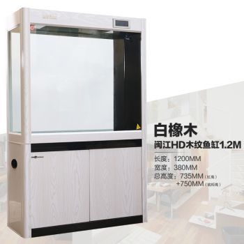 龍魚需要多寬的缸（成年龍魚缸寬度對于龍魚的健康和美觀展示至關(guān)重要）