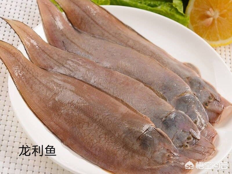眼斑魚疾病早期癥狀識別：眼斑魚疾病的早期癥狀