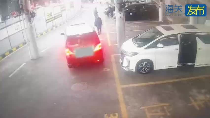 印尼金龍魚怎樣空運回中國