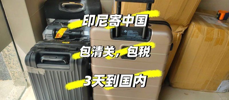 印尼金龍魚怎樣空運回中國