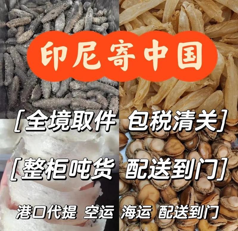 印尼金龍魚怎樣空運回中國