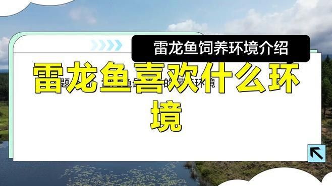雷龍魚缸要求什么水質