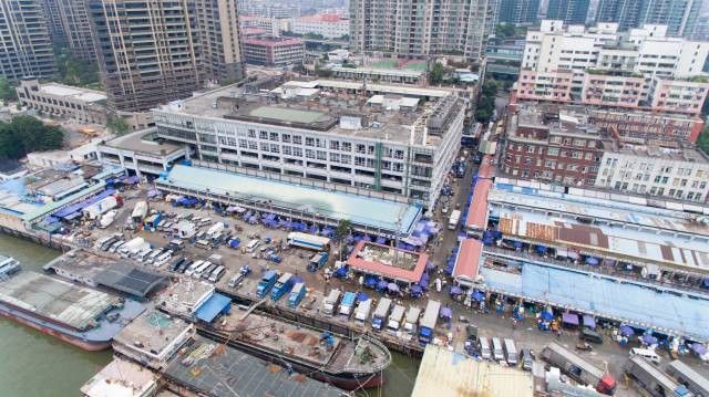 廣州哪里有金龍魚批發市場賣海鮮