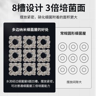硝化細菌產品的選擇指南：如何選擇硝化細菌產品