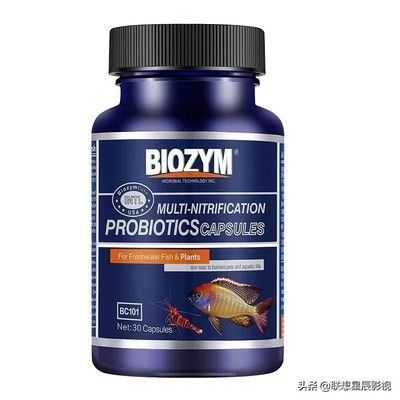 硝化細菌產品的選擇指南：如何選擇硝化細菌產品